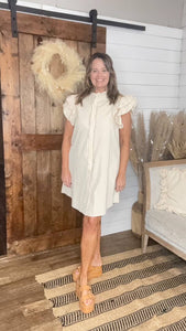 Snow Washed Mini Dress
