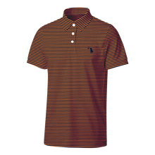 Load image into Gallery viewer, Local Boy Collegiate Palms Polo
